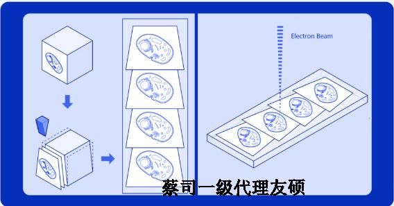 枣庄蔡司枣庄扫描电镜