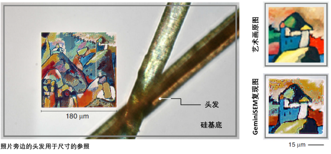 枣庄蔡司枣庄扫描电镜